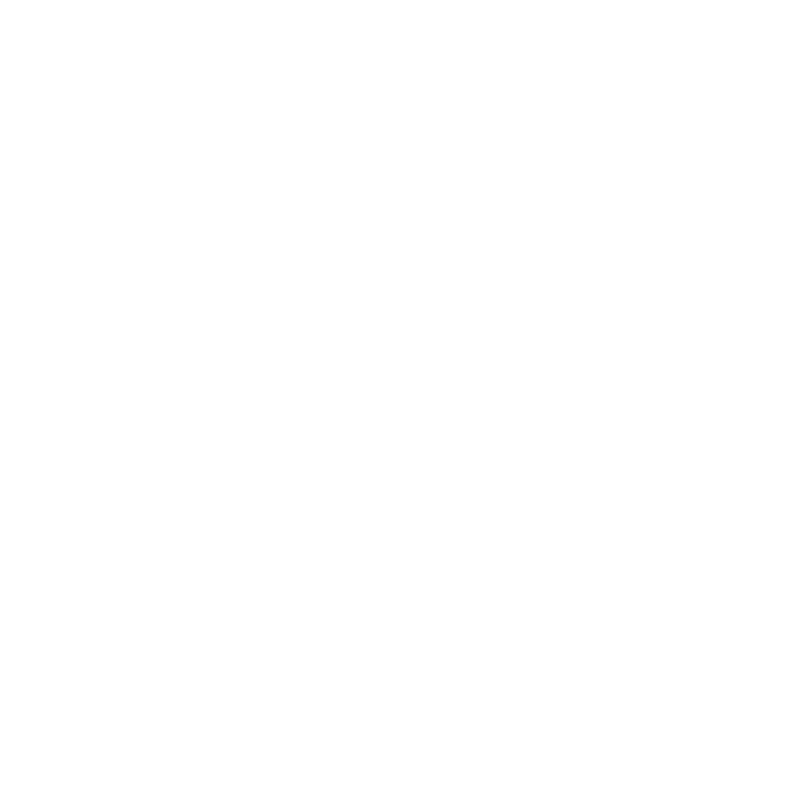 Die Neue Welt